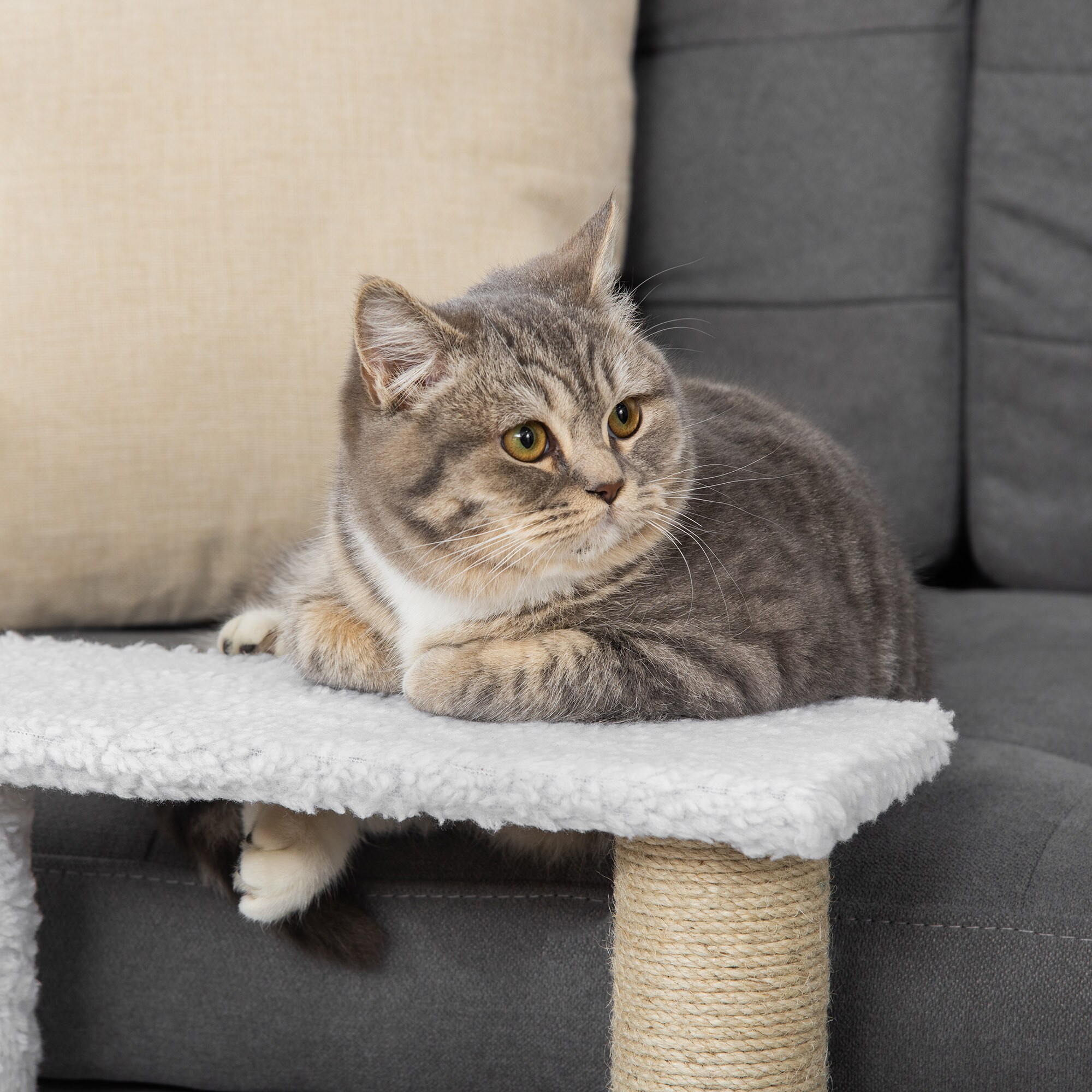 PawHut Haustiertreppe mit Ball weiß 45L x 40B x 48H cm