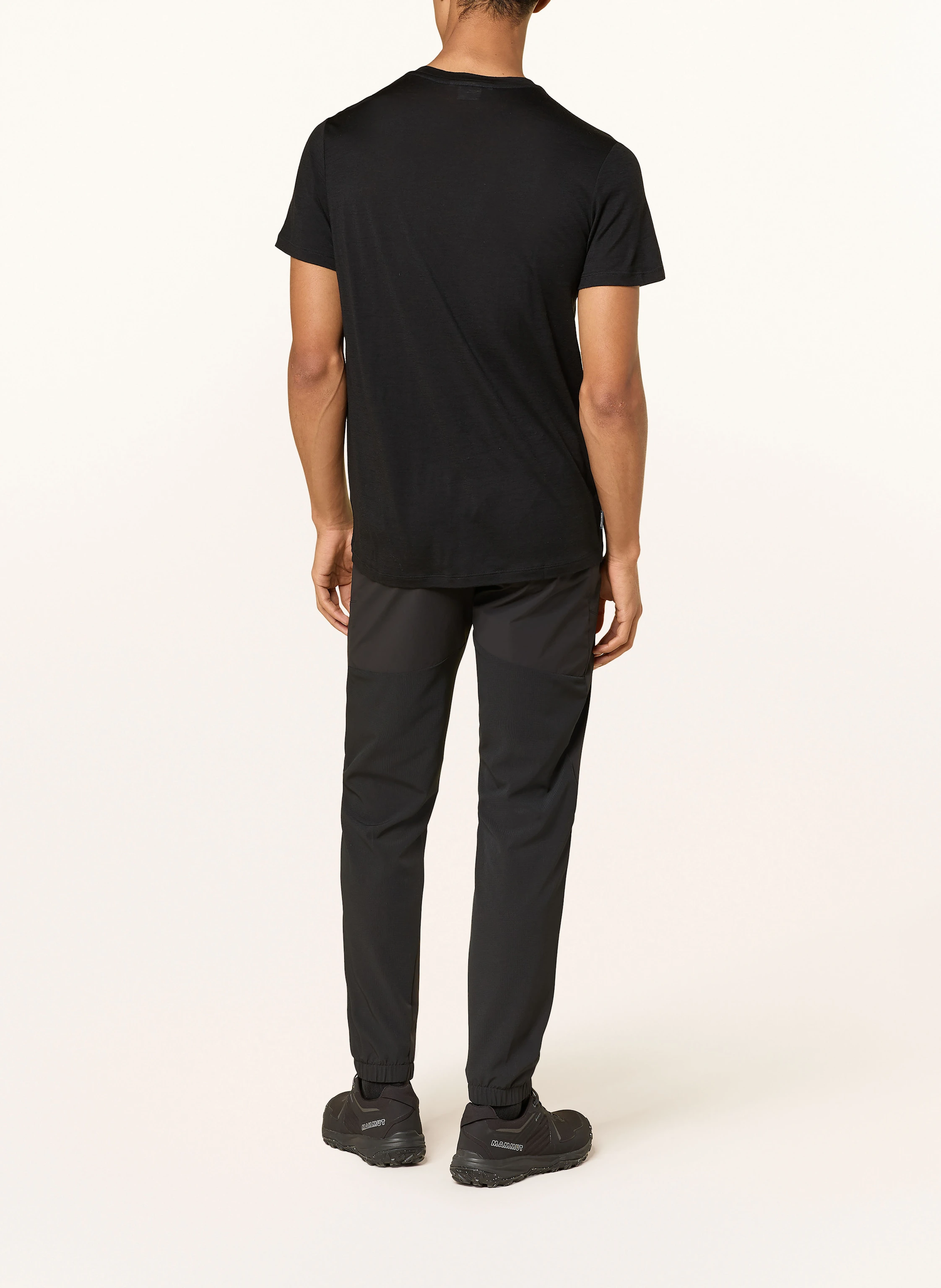 icebreaker T-Shirt aus Merinowolle