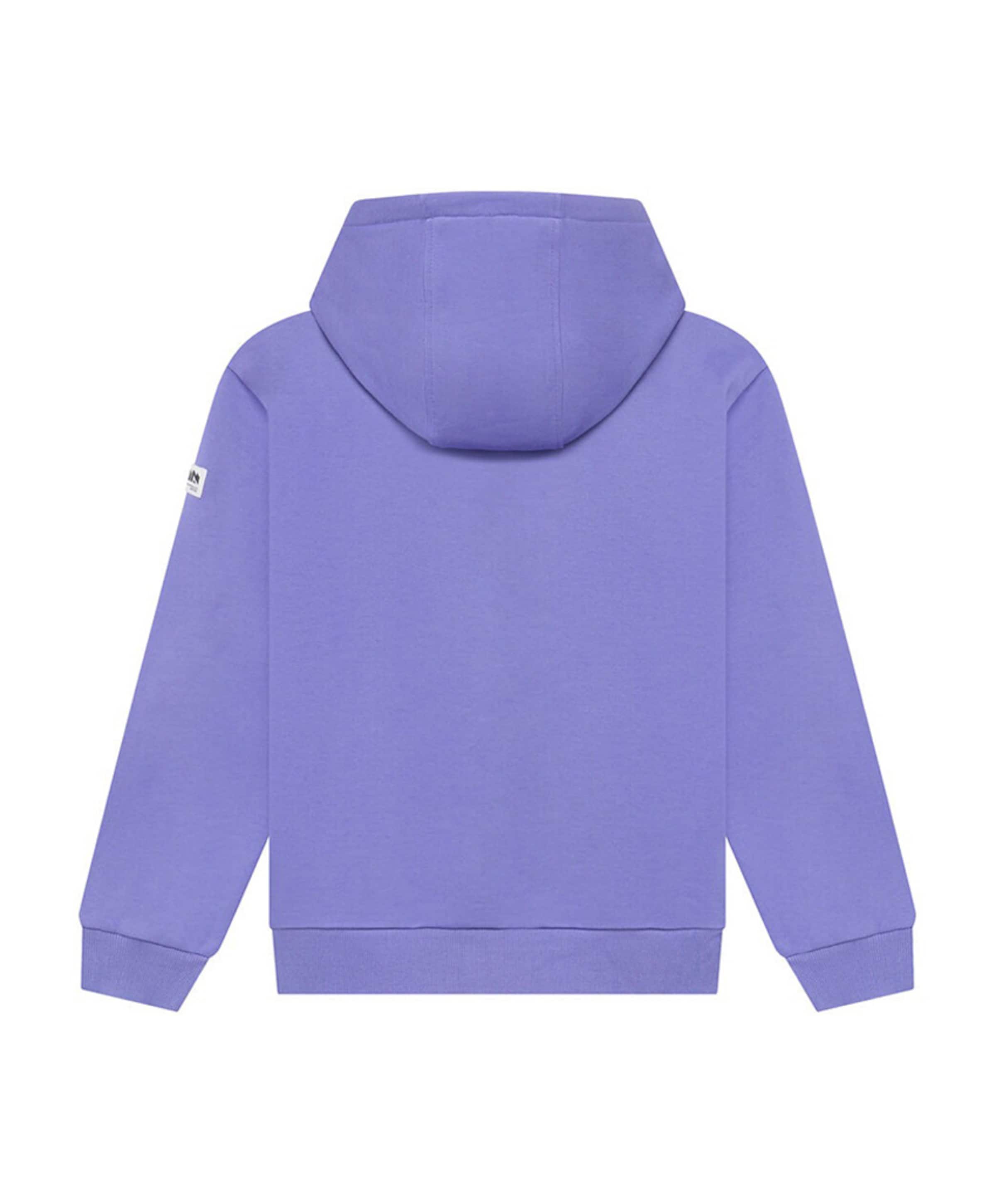 Indian Blue Jeans Jongens hoodie paars
