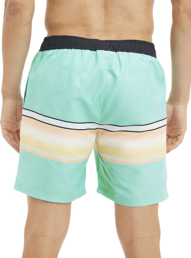 Firefly Mario badeshorts Grøn