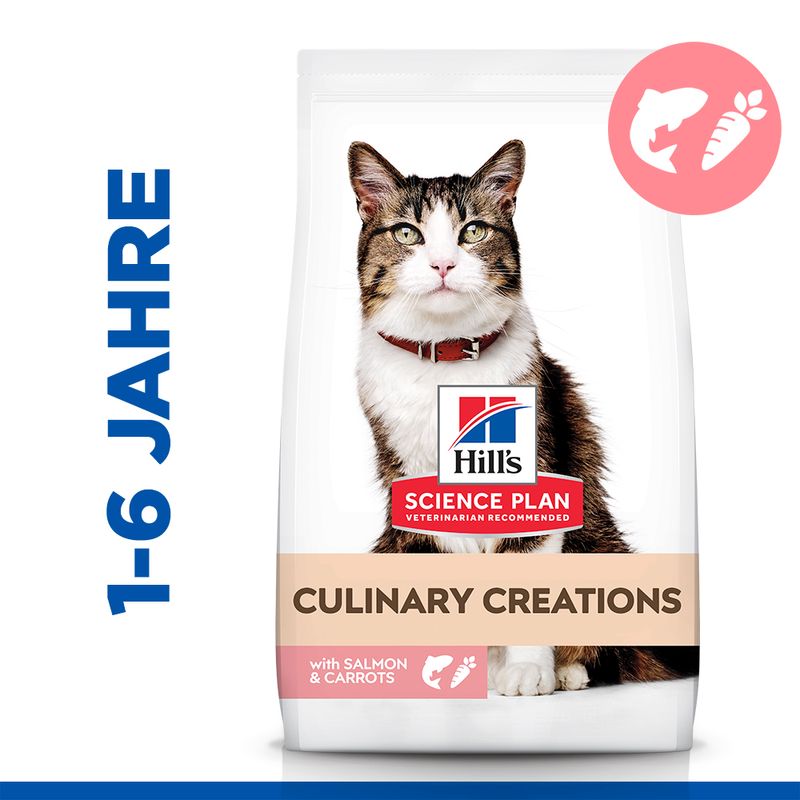 Hill's Science Plan Adult Culinary Creations saumon, carottes