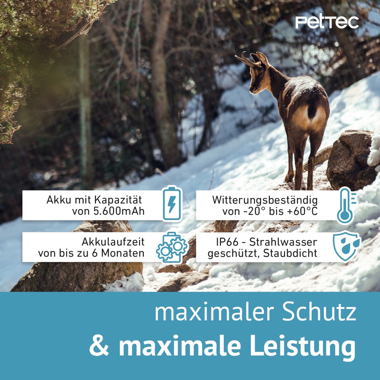 PetTec Pet Cam Trail