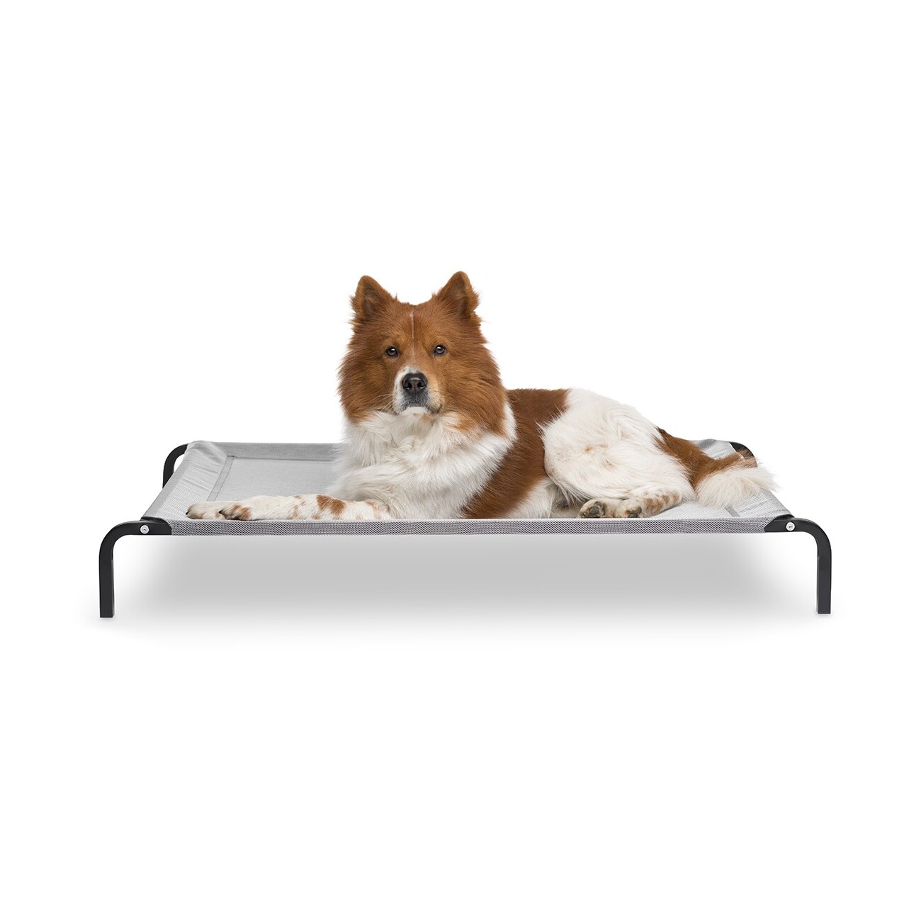 Knuffelwuff Hundeliege In und Outdoor