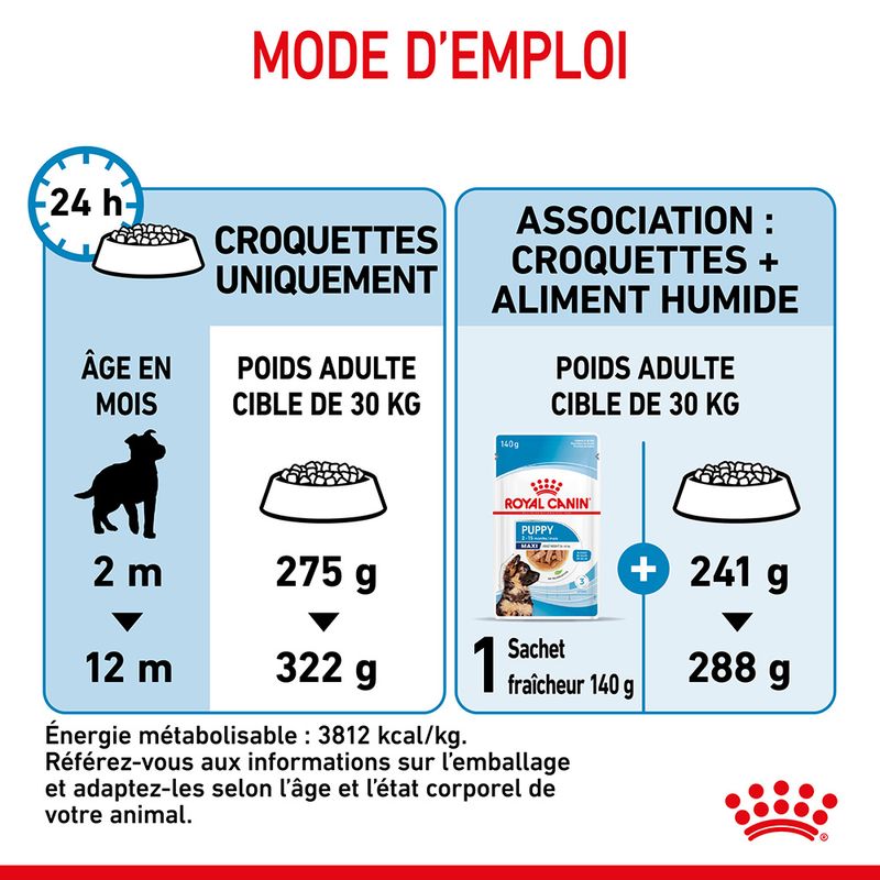 Royal Canin Maxi Puppy à prix discount sur bitiba.fr