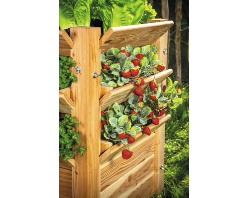 Klassieke verhoogde tuinbak WESTMANN Premium maat XL 90 x 65 x 73 cm naturel