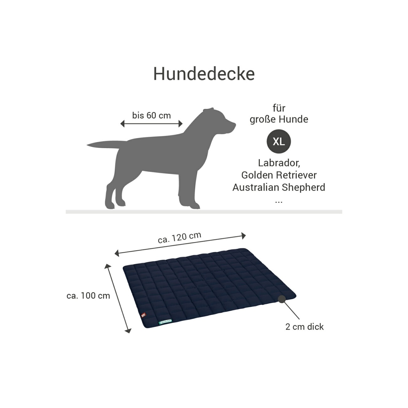 Doctor Bark Wendedecke