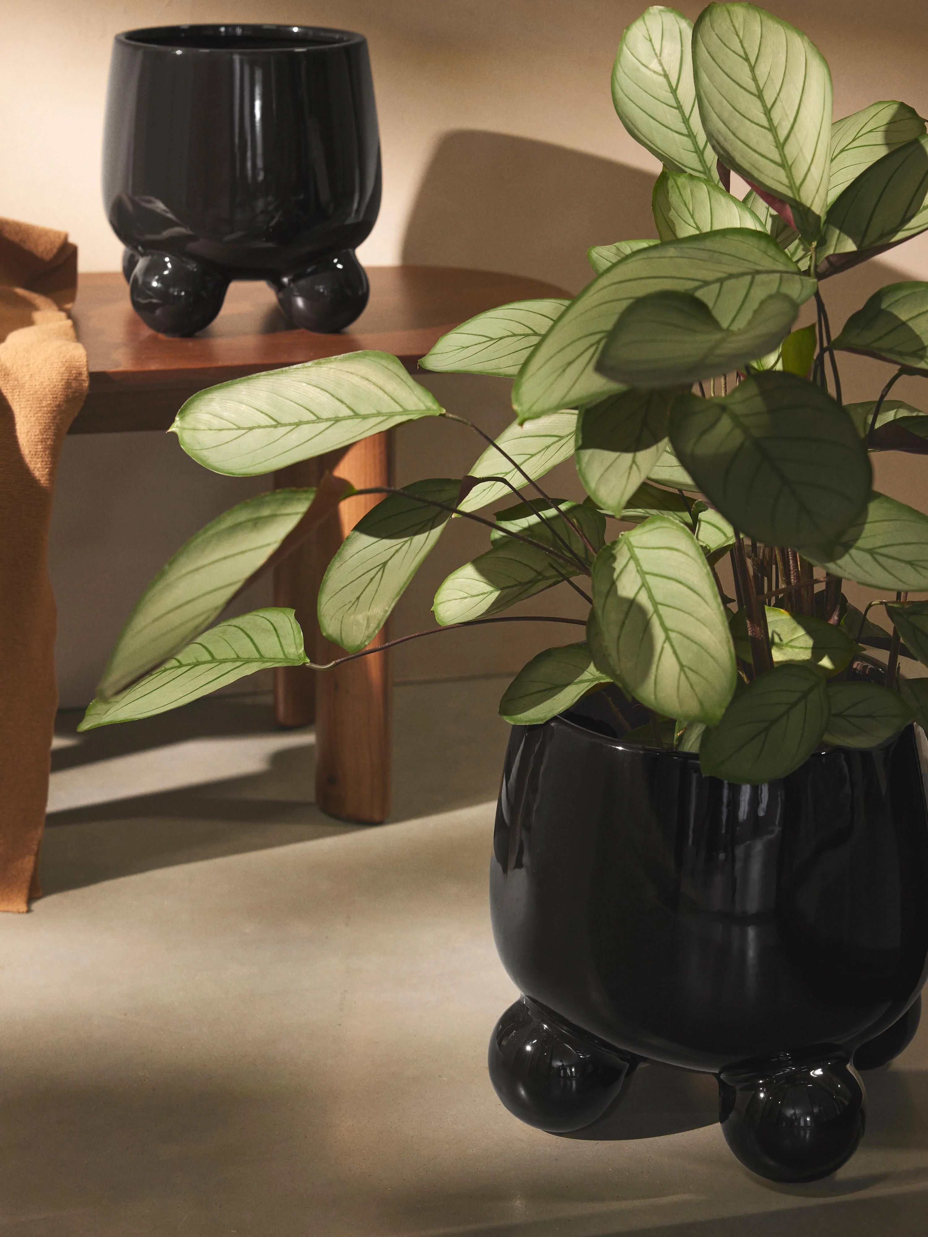Plantenpot Olea, H 26 cm