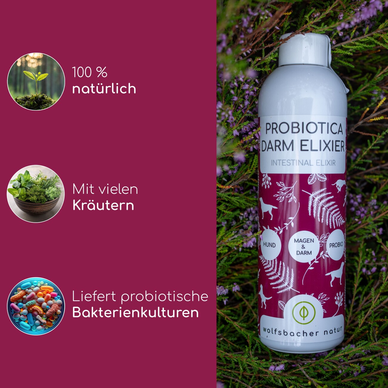 Wolfsbacher Natur Probiotika für Hunde