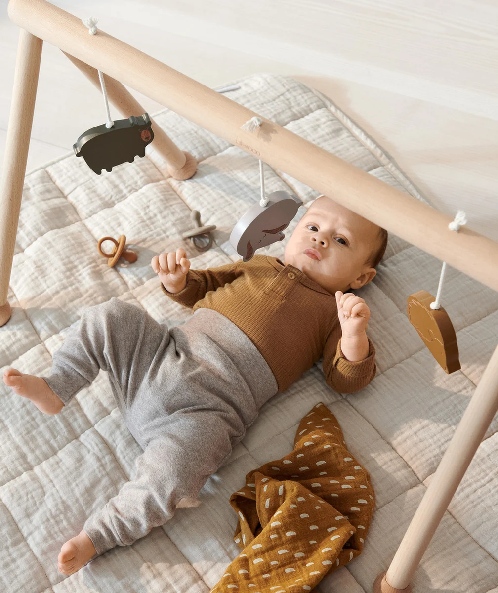 LIEWOODPORTIQUE AVEC ACCESSOIRES ERNIE BÉBÉ DINO MIX