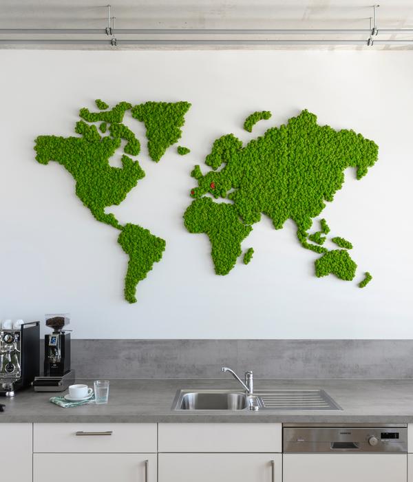 styleGREEN Weltkarte aus Islandmoos,