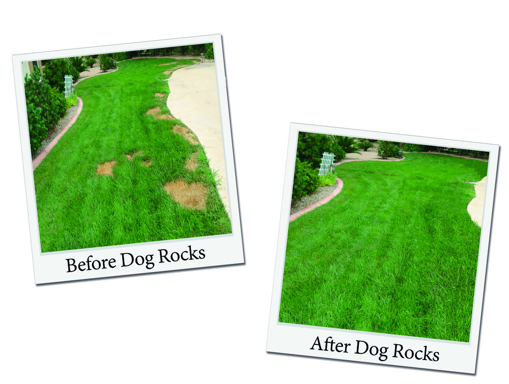 Dog rocks 600g