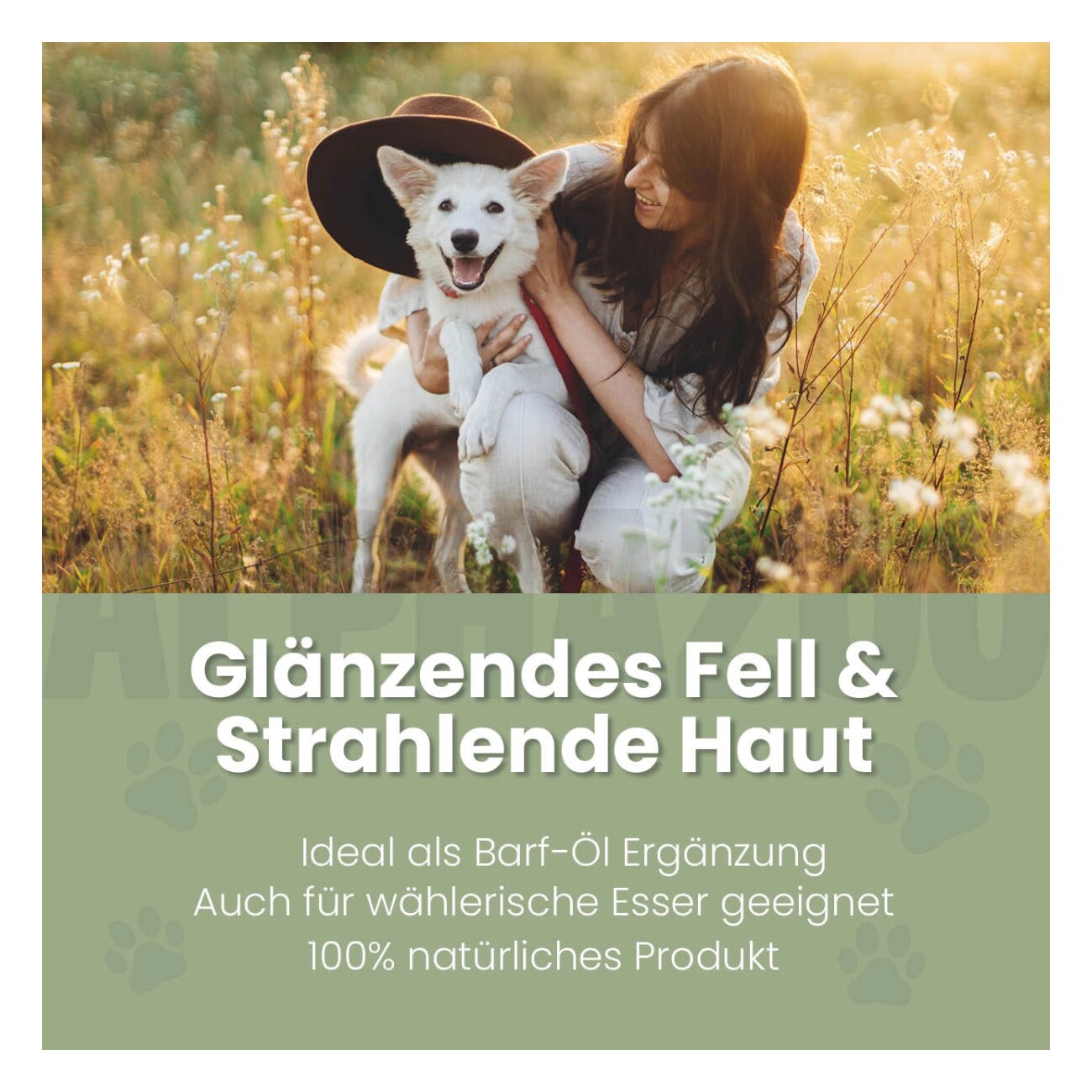 ALPHAZOO Premium Lachsöl für Hunde & Katzen I Natürliches Omega-3 Fischöl 250 ml