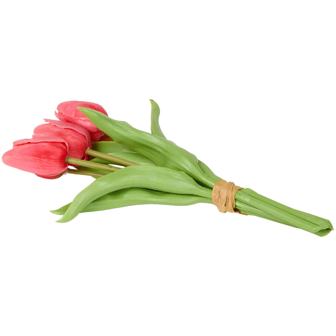 Kunsttulpen Diverse varianten