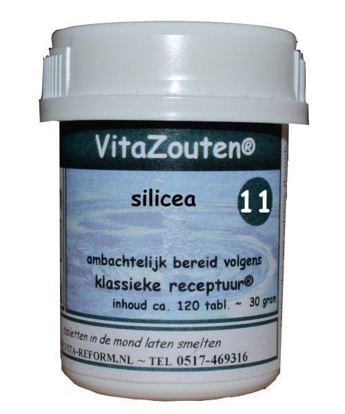 Vita Reform Silicea celzout 11/12 120tab