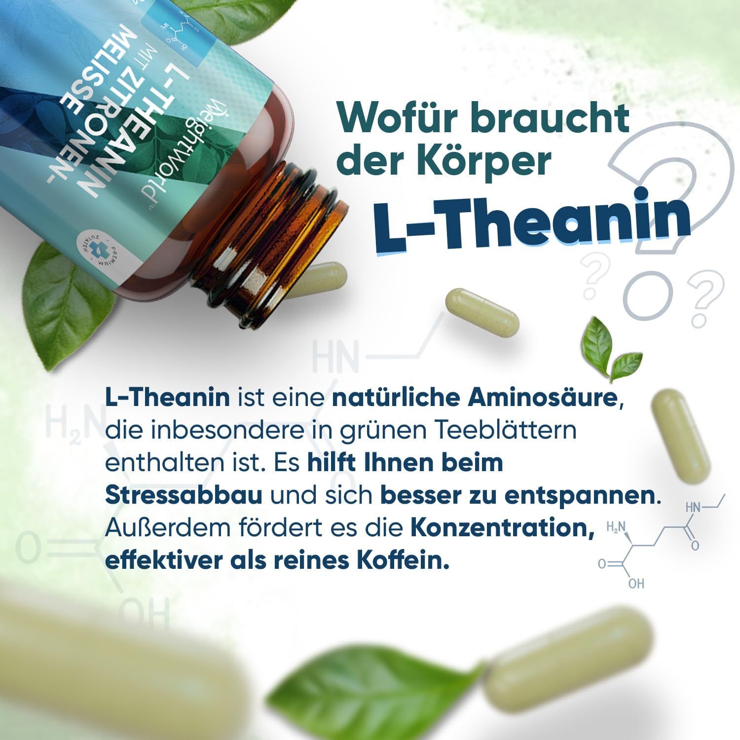 WeightWorld L-Theanin Aminosäure mit Zitronenmelisse
