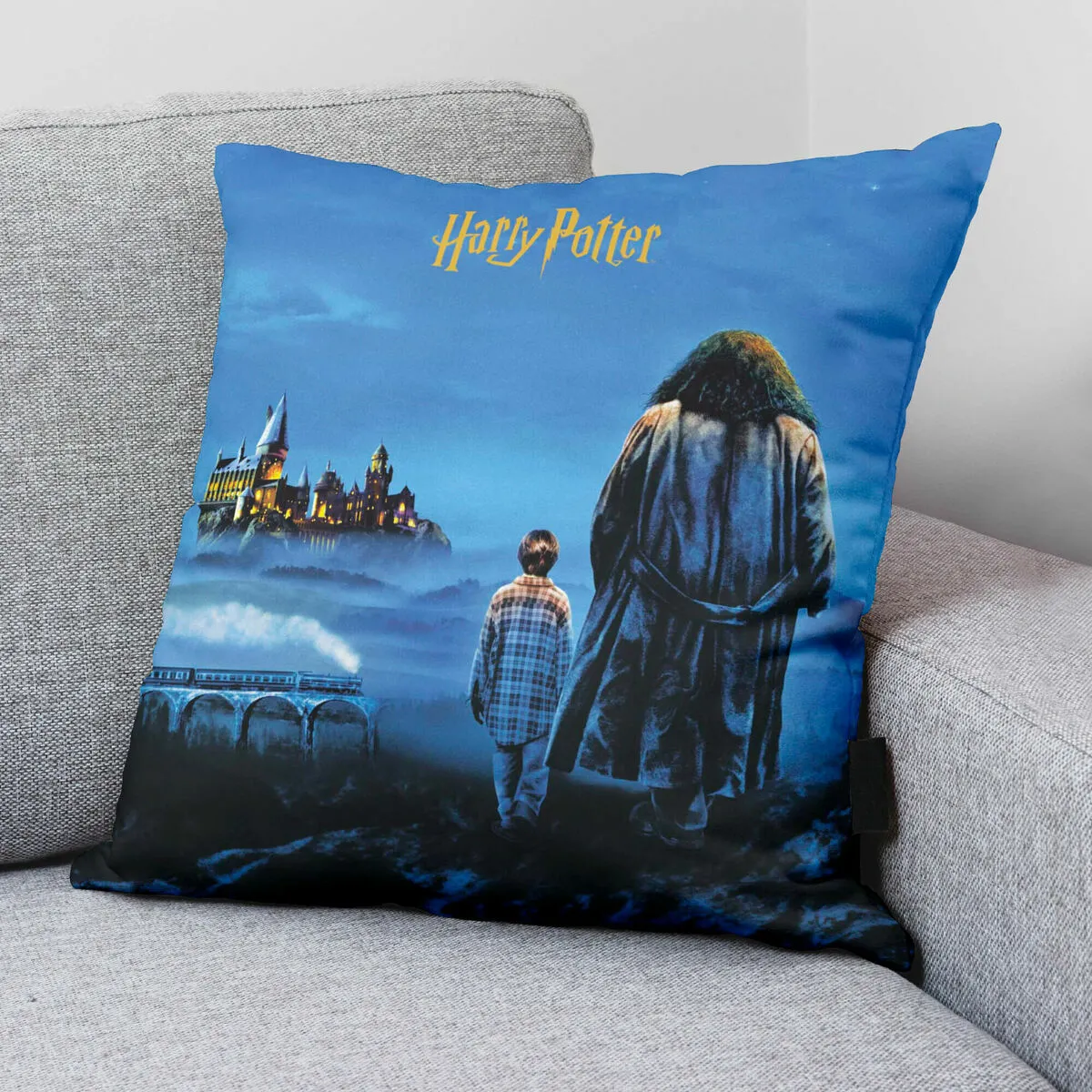 Harry Potter Philosopher's Stone - Multicouleur