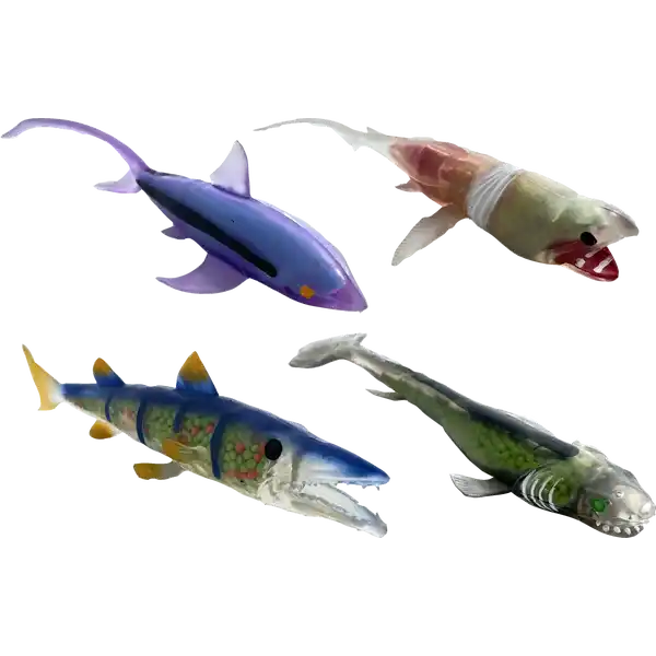 Super Animals - Sharks