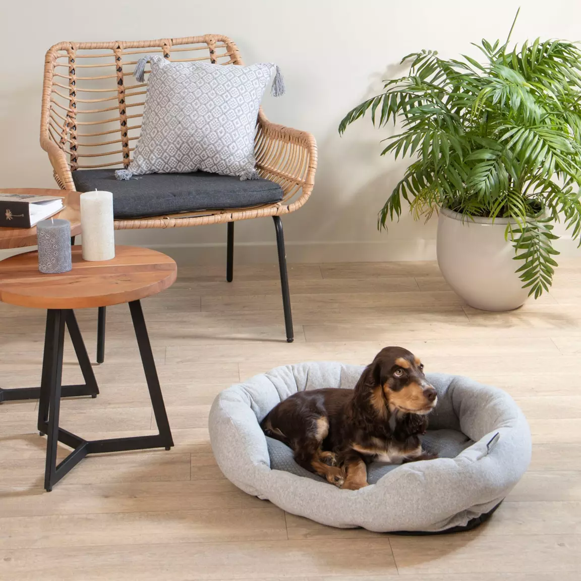 Panier ovale pour chat et chien Graphène L60 cm Gris