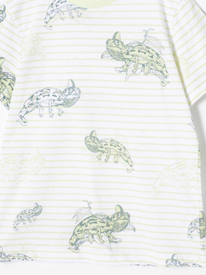 Conjunto com 2 pijamas estampados - Verde