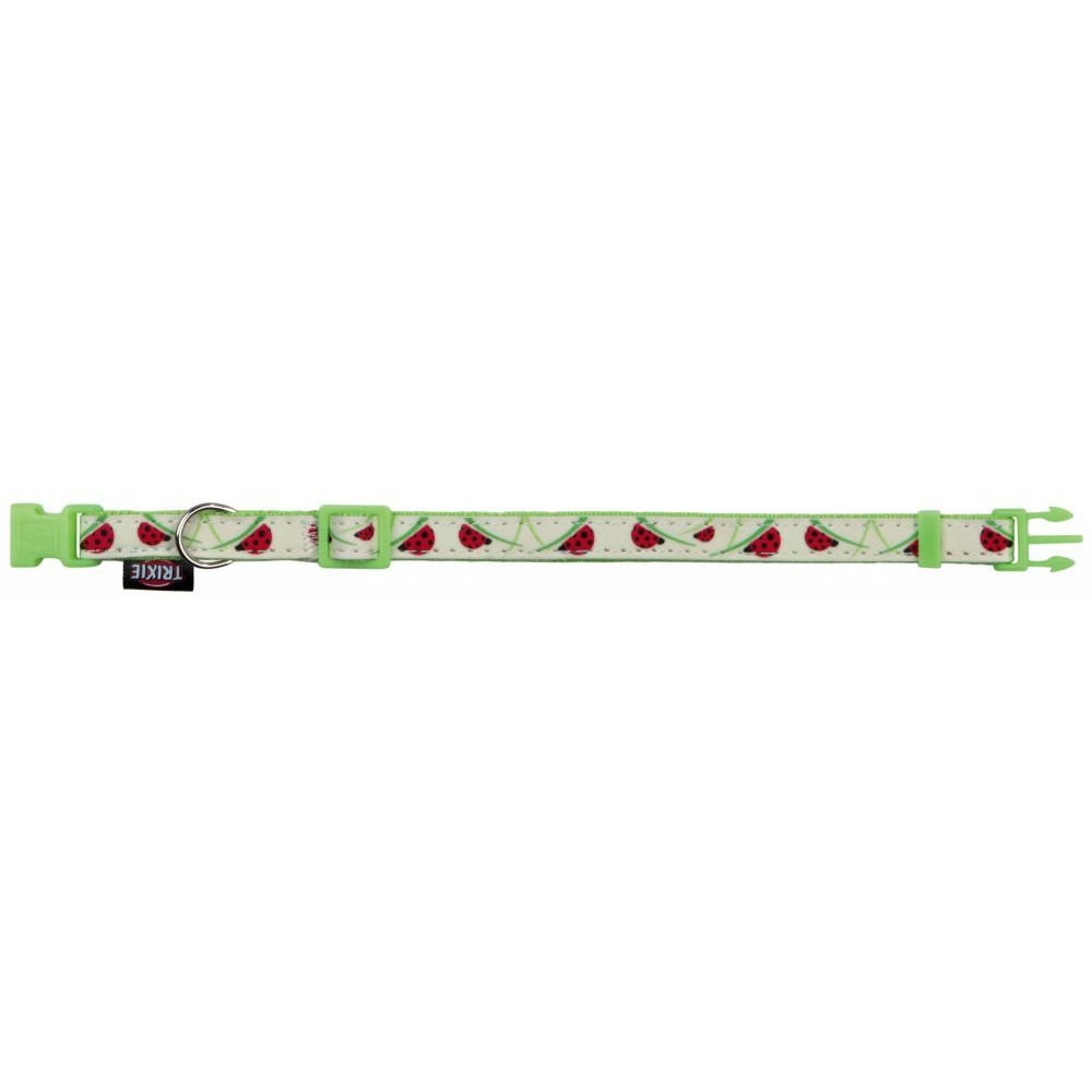 Collier réglable de 22 à 33 cm, couleur phosphorescent avec laisse chat