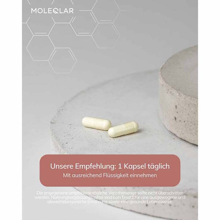 Moleqlar Resveratrol Trans-Resveratrol Kapseln, 60 St