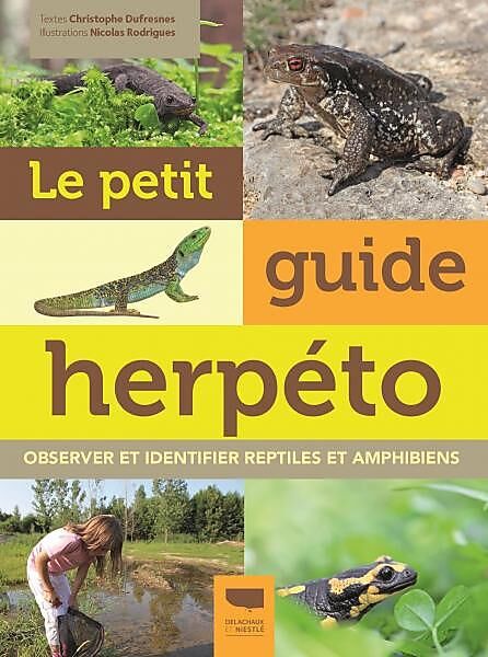 DELACHAUX  NIESTLE - LE PETIT GUIDE HEPERTO