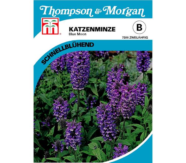 Thompson & Morgan Samen Katzenminze 'Blue