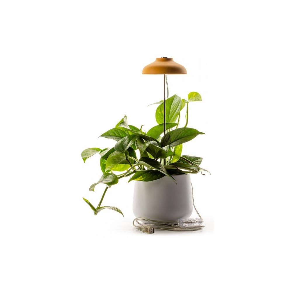 Lampe horticole en métal 10 x 12.5 cm
