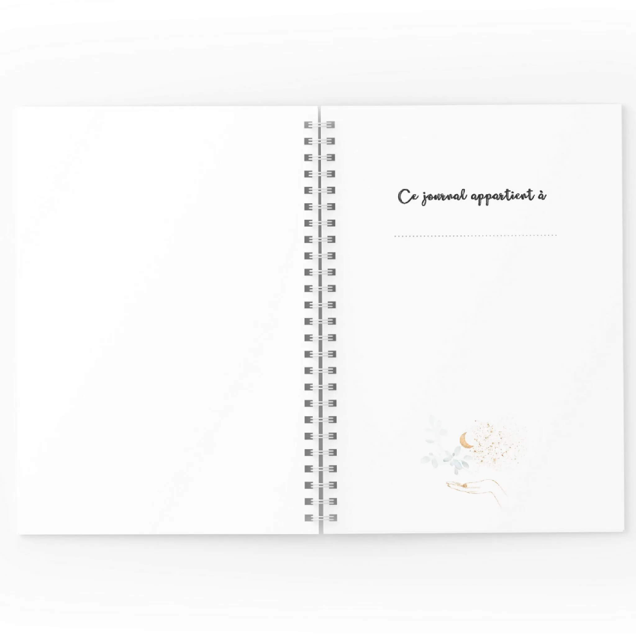 Moments Ancrés Mon Journal de Grossesse - Feuilles
