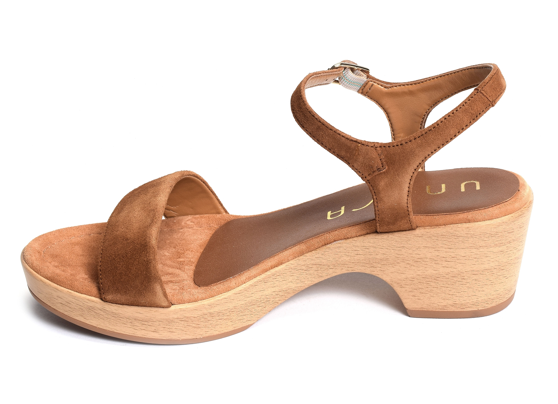 Irita camel