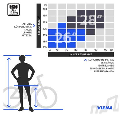 Urbanbiker Viena | Trekking VAE | 200KM Autonomie | Bleu | 26