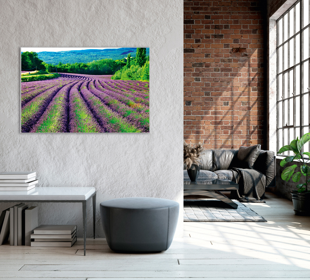 Akustikbild LAVENDELFELD 1 80x120cm, 7kg