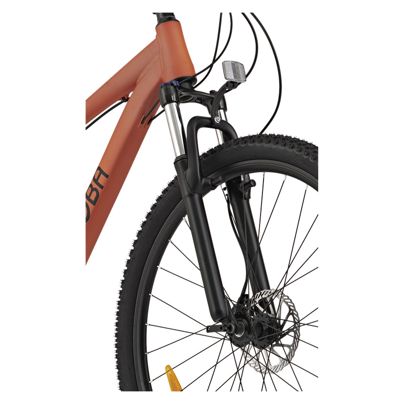 Mountainbike 29