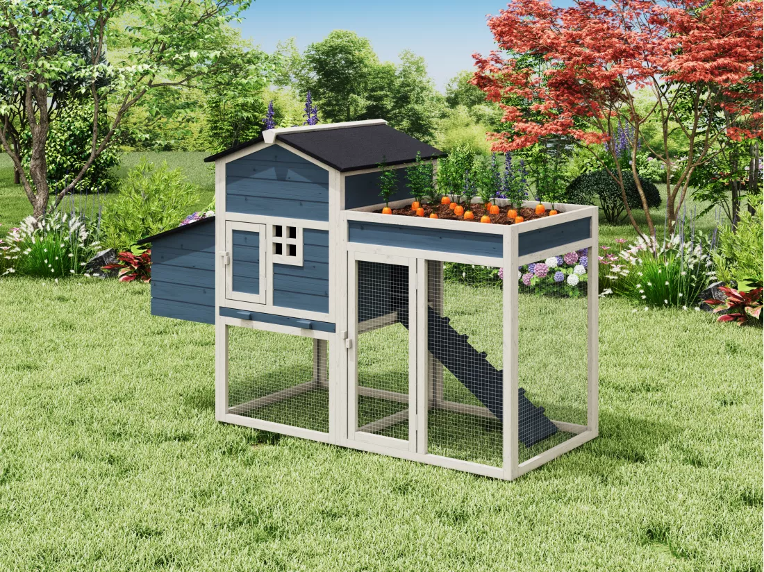 Poulailler avec enclos et potager - 4 poules - L. 168 x P. 64 x H. 109 cm - Bleu et blanc - CAMPORA