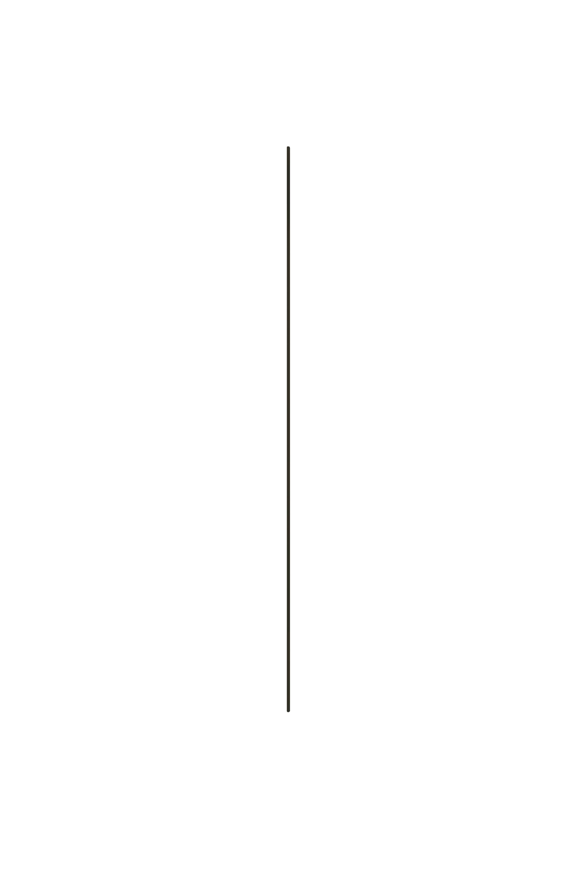 Wandspiegel JOSEPHINE 30x70 cm schwarz