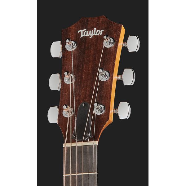 Taylor A10