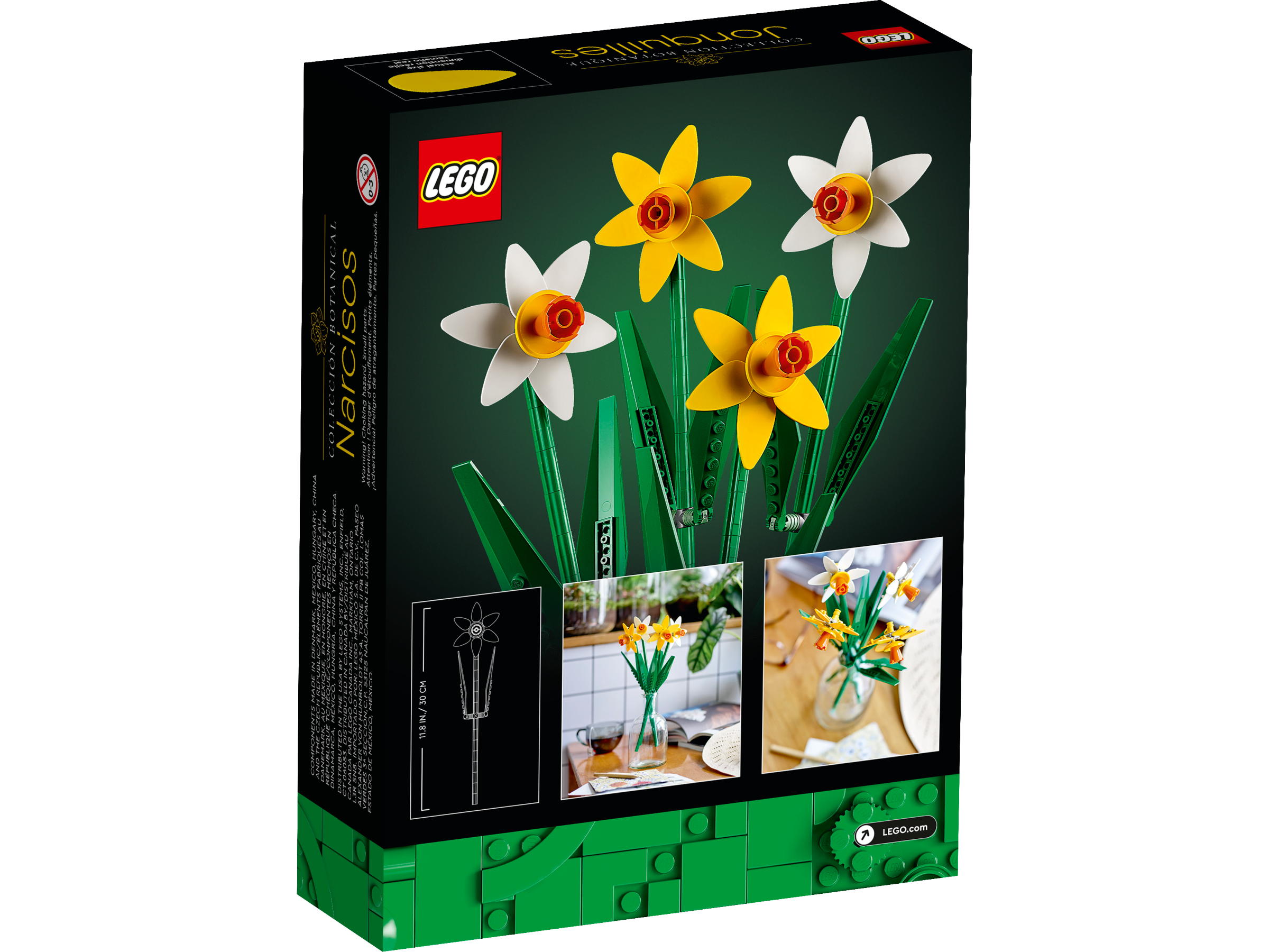 Narcisos 40646