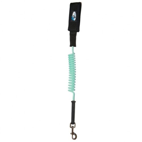 Coleira espiral turquesa para cães