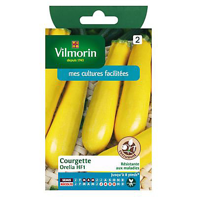 Graines de Courgette Orélia Hybride F1