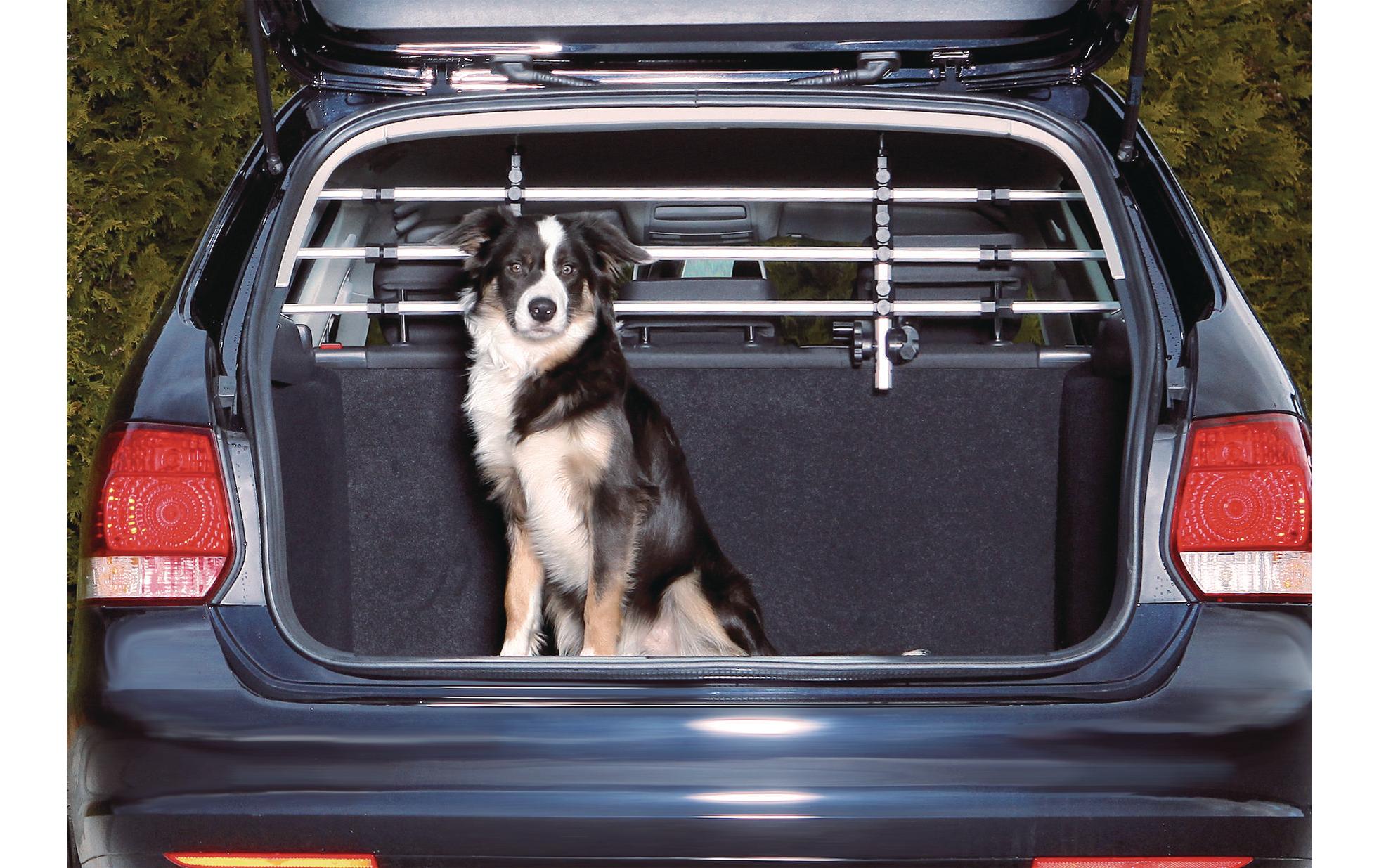 Auto-Gitter Friends on Tour AluminiumSicherheit im Auto