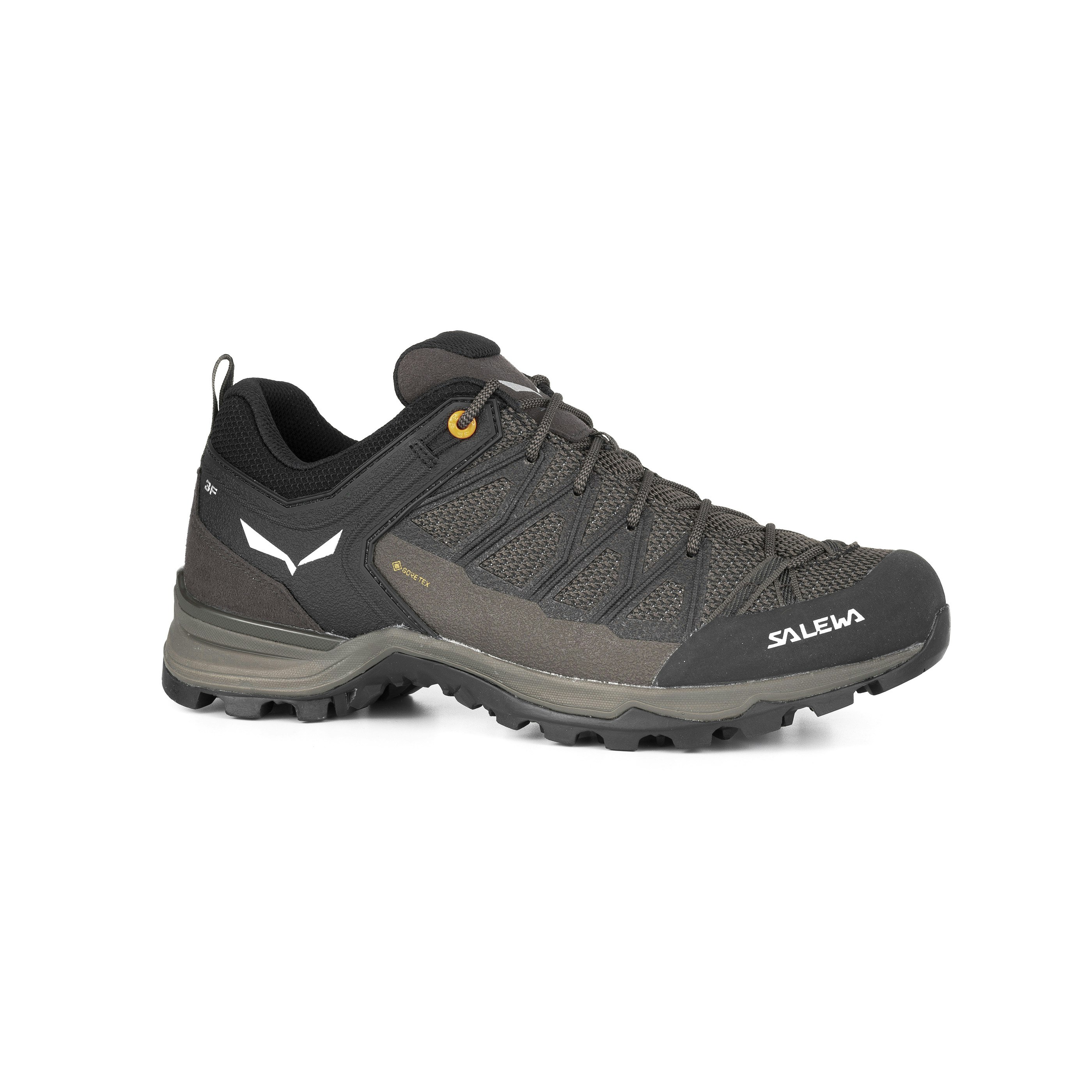Mountain Trainer Lite GORE-TEX® Herrenschuhe
