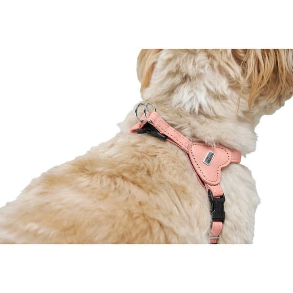 Hundesele Hunter SOHO MINI Rosa XS