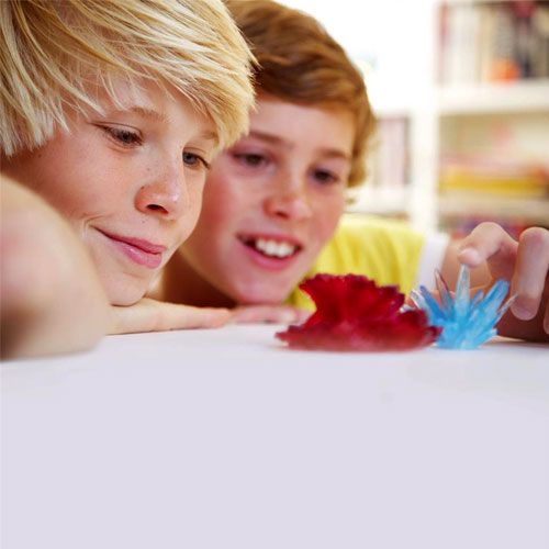 4m science in action - groeiende kristal