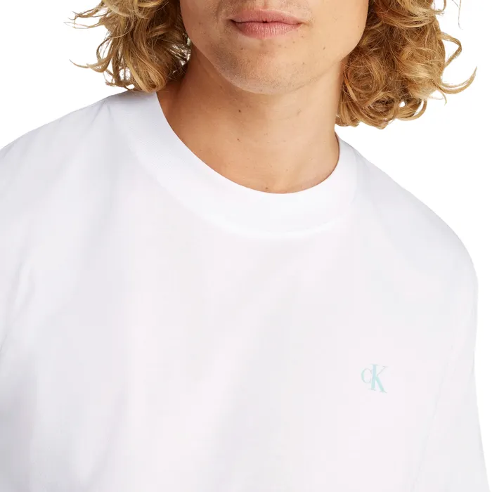 Calvin Klein Painted Backlogo Shirt Heren
