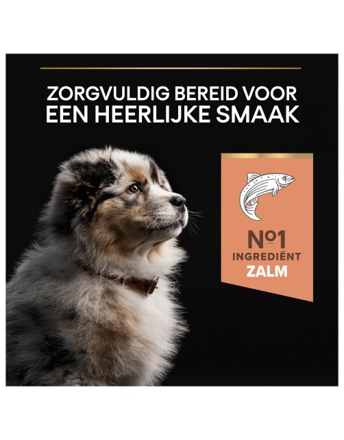 Pro Plan Dog Puppy Medium Breed Sensitive Zalm - Hondenvoer