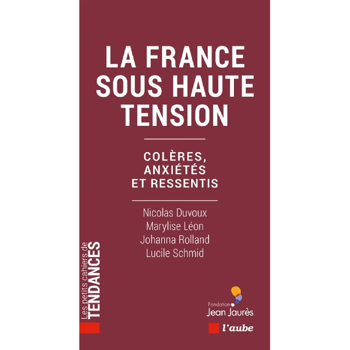 La France sous haute tension : colères, anxiétés et ressentis · Occasion