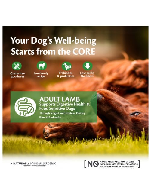 Wellness Core Grain Free Dog Adult Lam - Hondenvoer