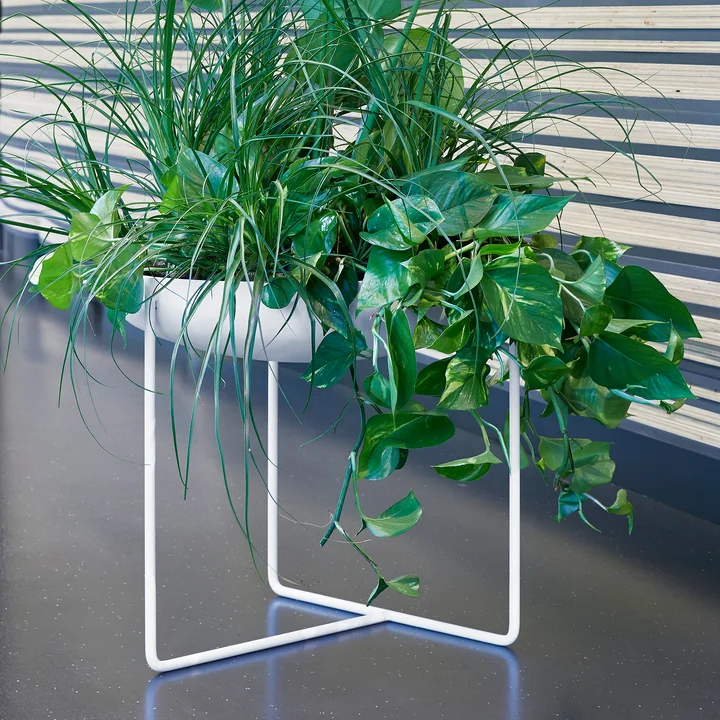Konstantin Slawinski - Plantbowl Outdoor Ø 75 cm, weiss