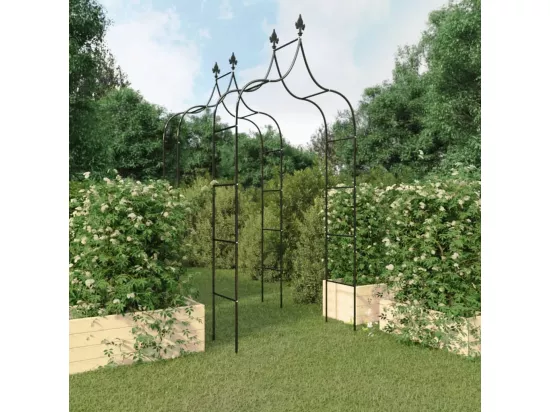 Arches de jardin 2 pcs Noir 120x38x260 cm Acier