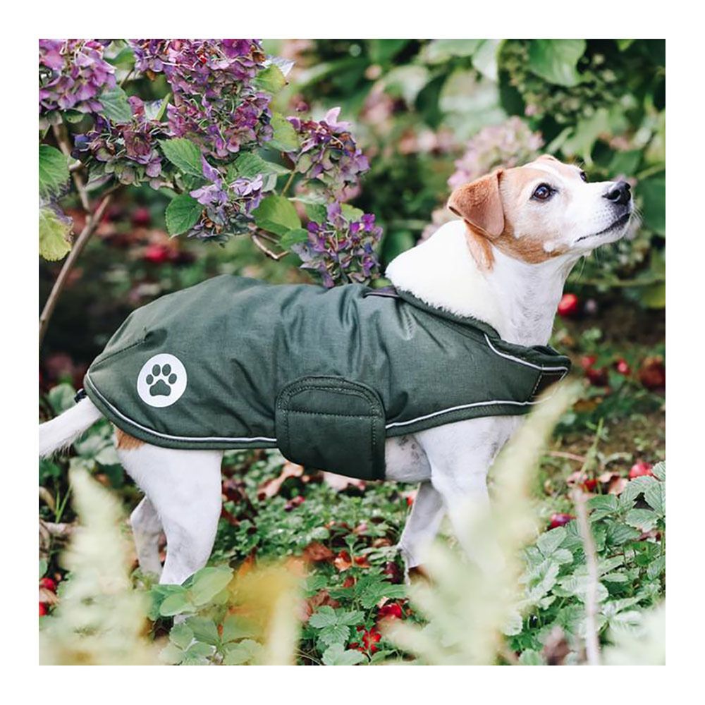 Kentucky PINA - Manteau pour chien vert sapin